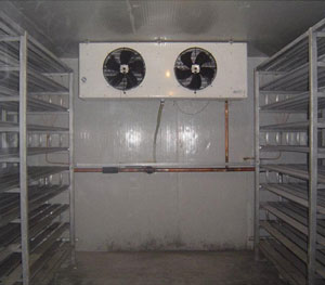 �R��ʽ�ك����